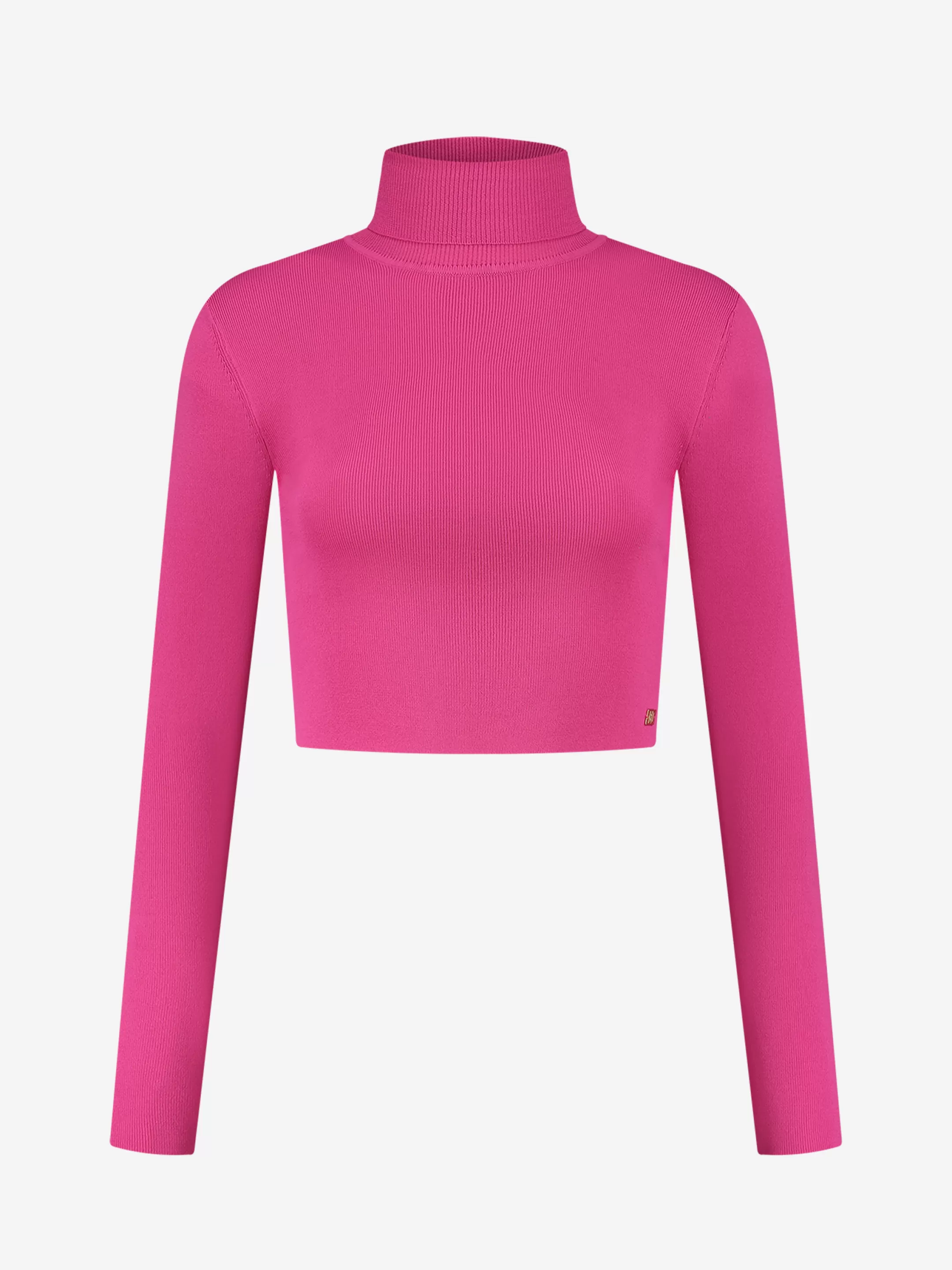 Best NIKKIE Fitted cropped longsleeve with turtle neck    Raspberry Rose