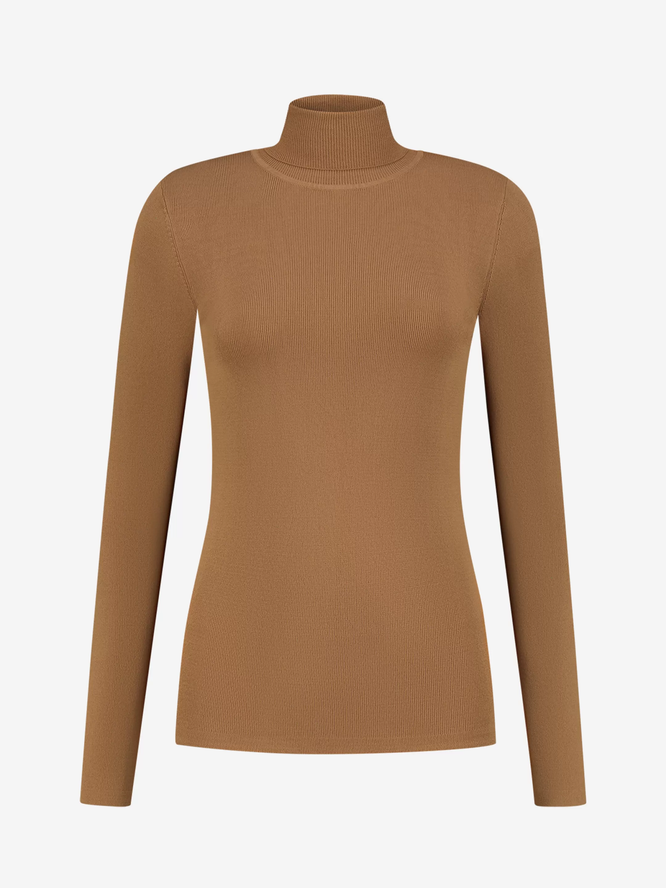 Outlet NIKKIE Fitted longsleeve with turtle neck   Autumn Brown