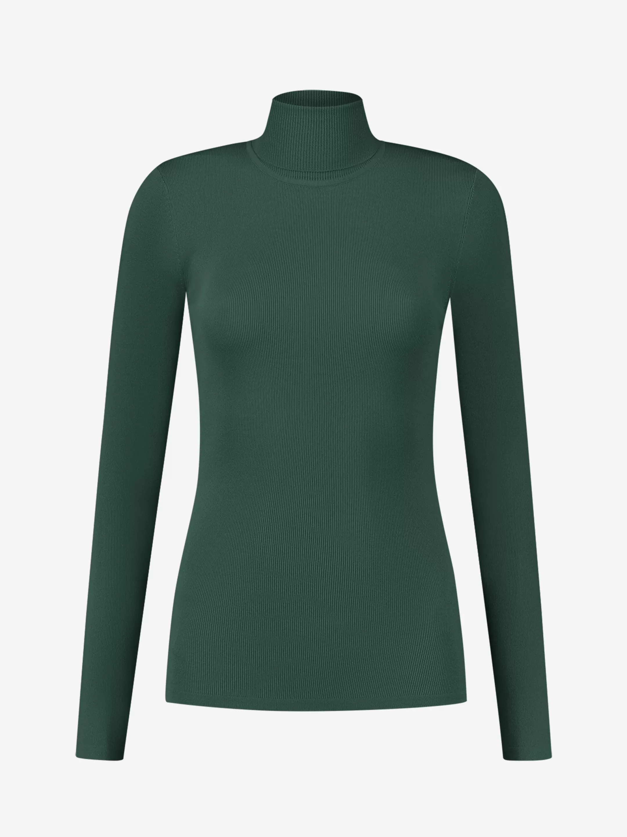 Best NIKKIE Fitted longsleeve with turtle neck   Garden Green