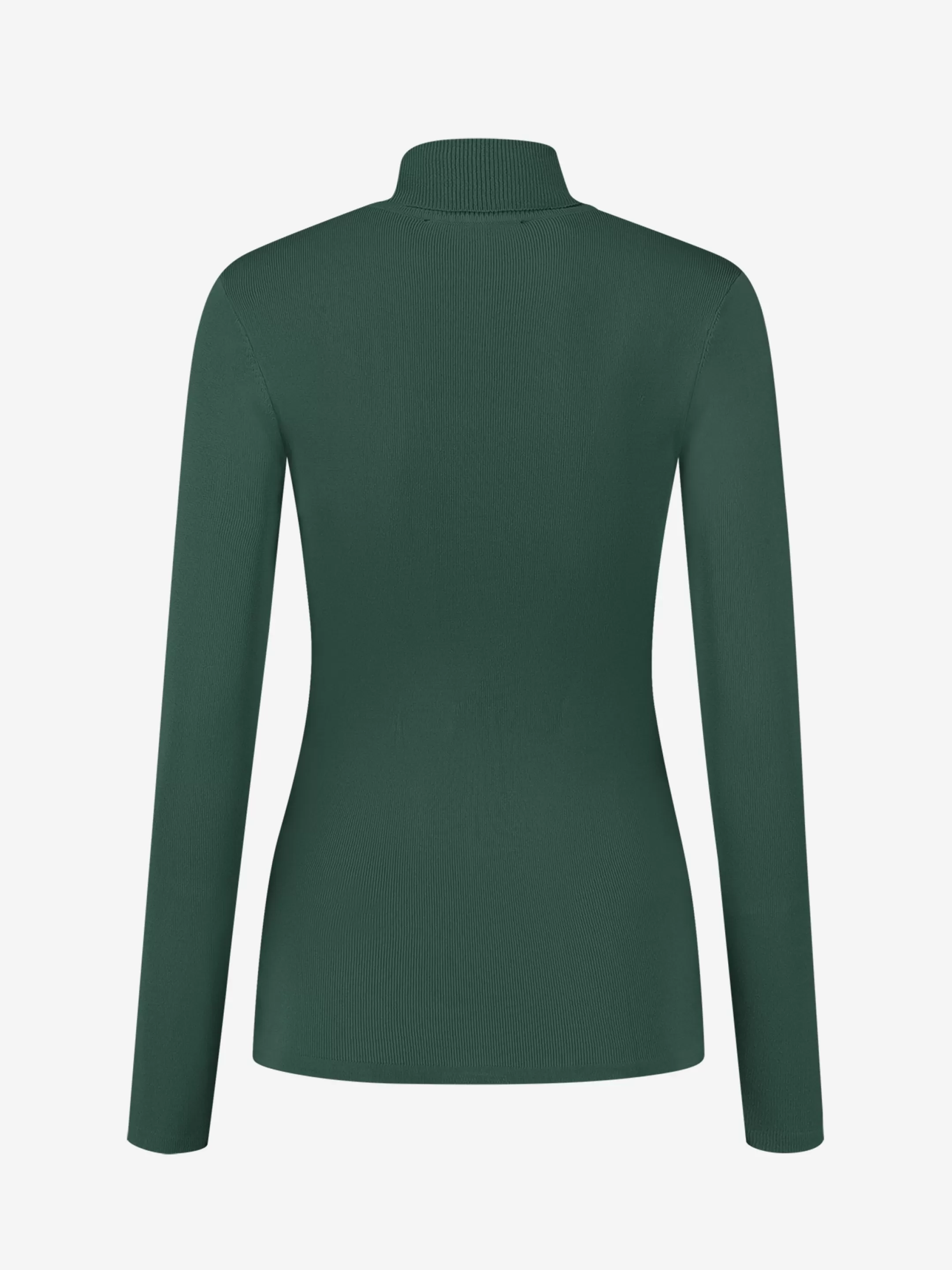 Best NIKKIE Fitted longsleeve with turtle neck   Garden Green