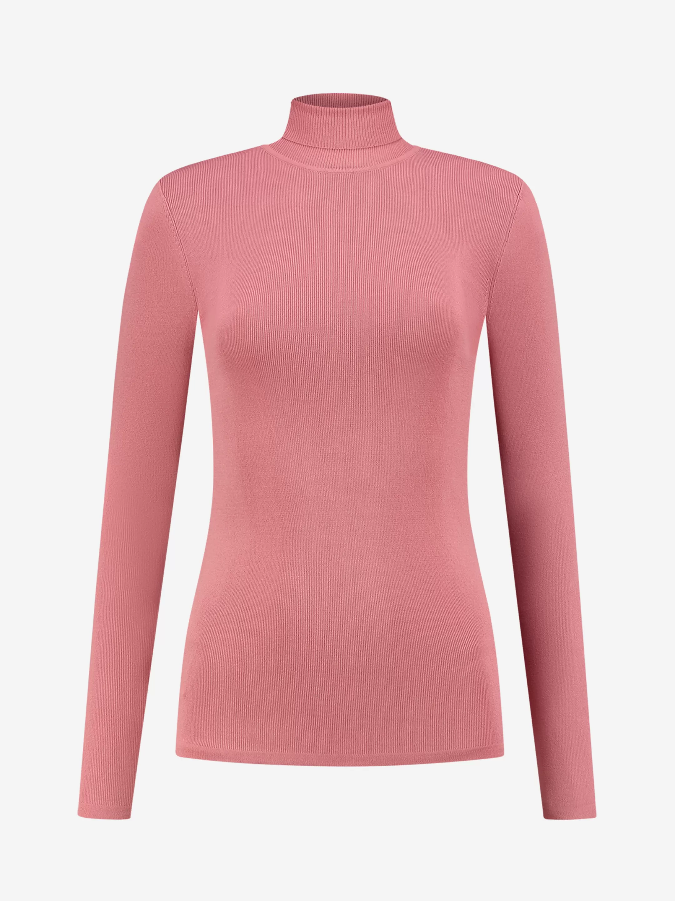 Best Sale NIKKIE Fitted longsleeve with turtle neck   Rouge